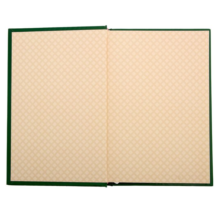 Ежедневник "Финансист", твёрдая обложка, А5, 96 листов