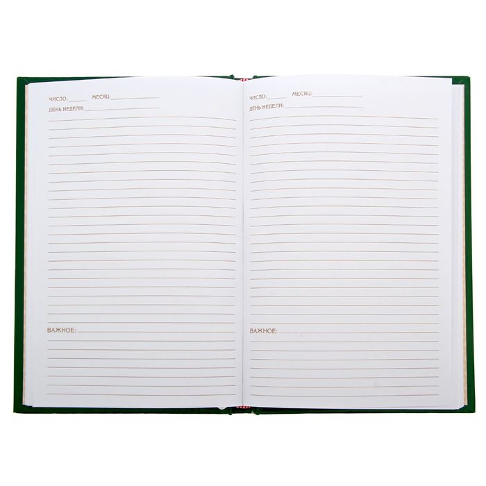 Ежедневник "Финансист", твёрдая обложка, А5, 96 листов