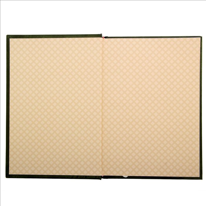 Ежедневник "Деньги правят миром", твёрдая обложка, А5, 96 листов