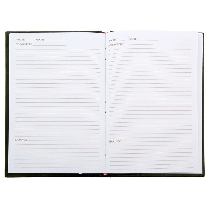 Ежедневник "Деньги правят миром", твёрдая обложка, А5, 96 листов