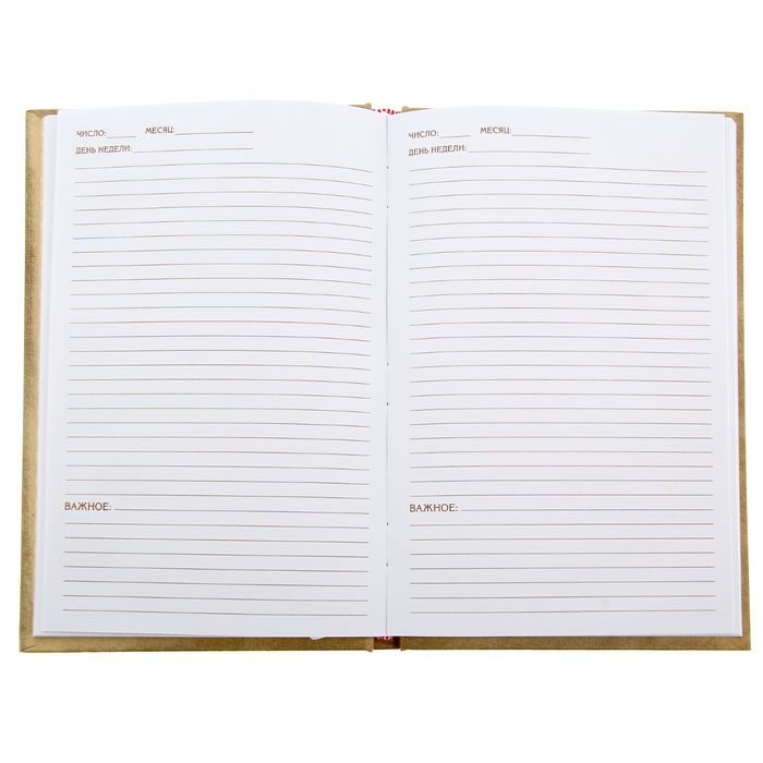 Ежедневник "Интересные вести", твёрдая обложка, А5, 96 листов