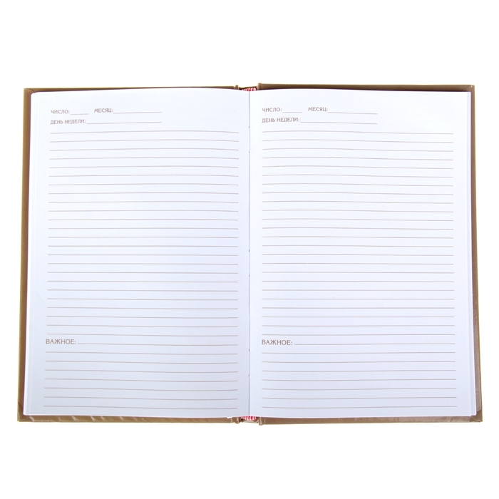 Ежедневник "Налоговая инспекция", твёрдая обложка, А5, 96 листов