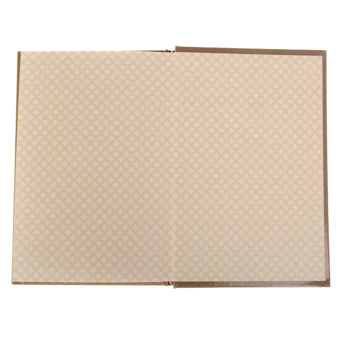 Ежедневник "Налоговая инспекция", твёрдая обложка, А5, 96 листов