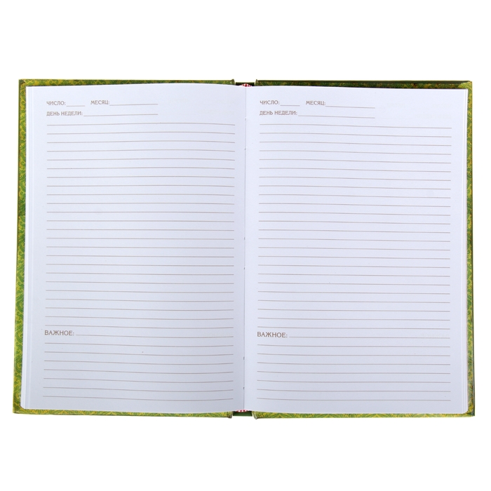 Ежедневник "Дневник делового человека", твёрдая обложка, А5, 96 листов