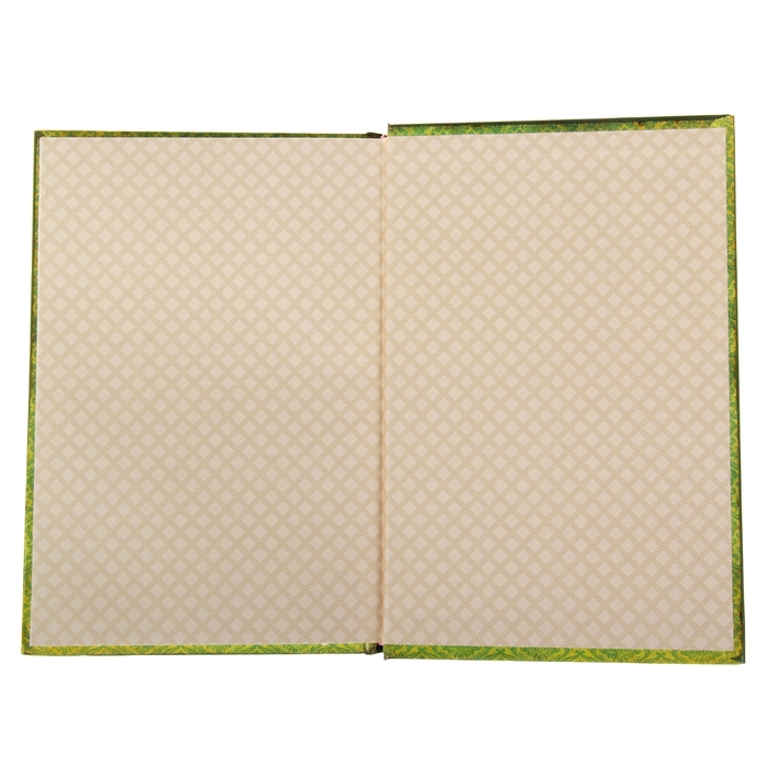 Ежедневник "Дневник делового человека", твёрдая обложка, А5, 96 листов