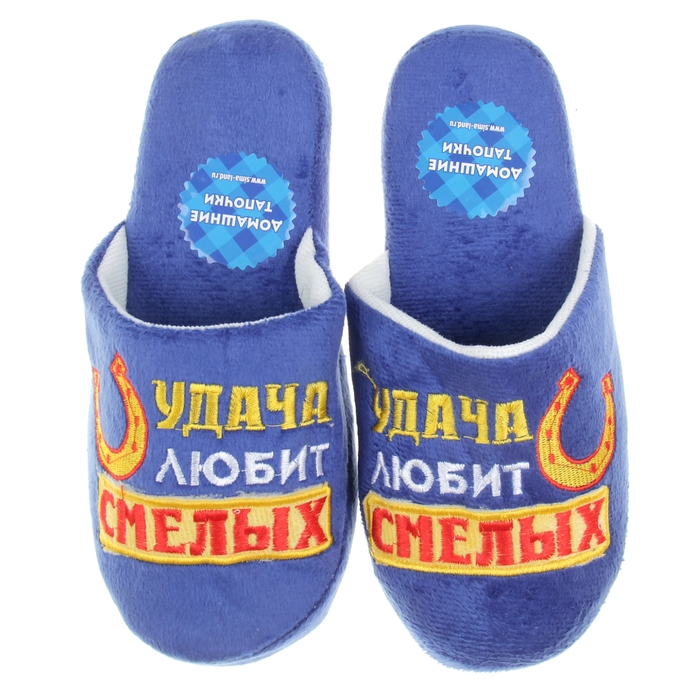 Обувь домашняя мужская "Удача любит смелых", S/40-41
