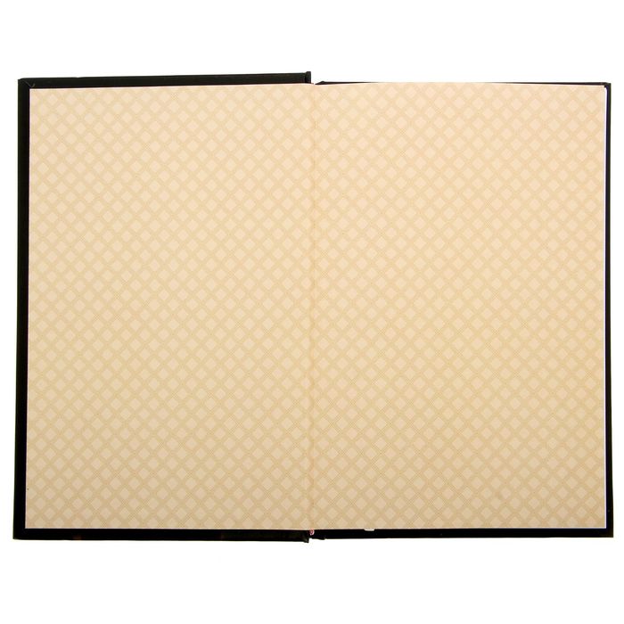 Ежедневник "Дела особой важности", твёрдая обложка, А5, 96 листов