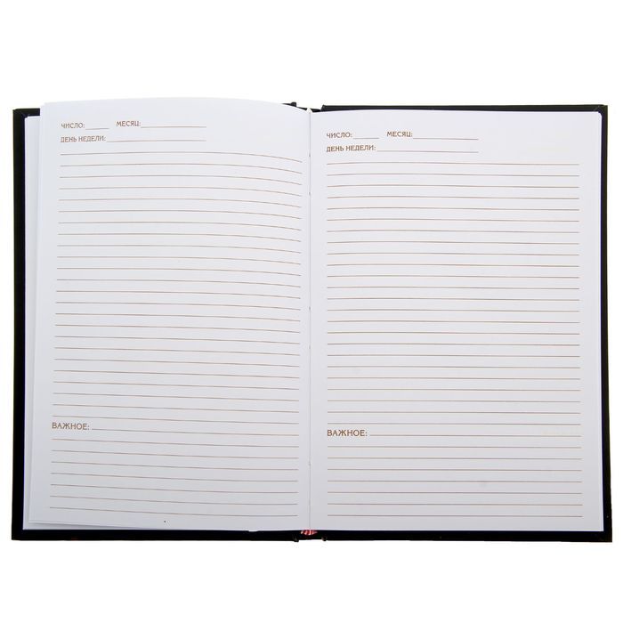 Ежедневник "Дела особой важности", твёрдая обложка, А5, 96 листов