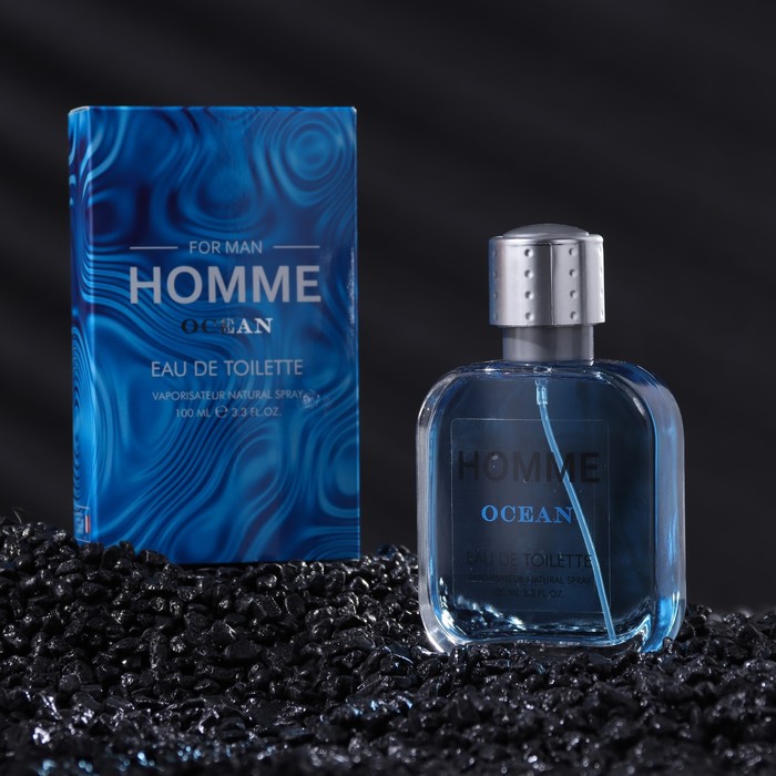 Туалетная вода мужская Homme Ocean 100 мл по мотивам Acqua Di Gio GArmani 179₽