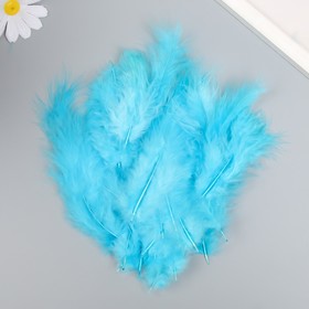 Набор перьев для творчества 30 шт (14-17 см), голубой