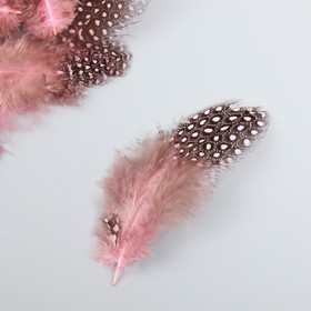 

Набор перьев для творчества 20 шт (6-8 см), розовый