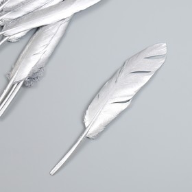 

Набор перьев для творчества 10 шт (13-15 см), серебро