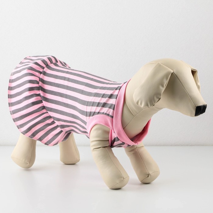 Платье для собак кулирка, XS (ДС 24, ОШ 32-36, ОГ 34-38), Розовое с серыми полосками