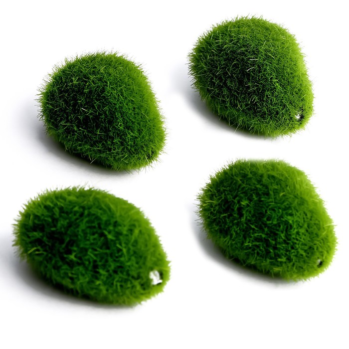 фото Основа для творчества «камень со мхом» набор 4 шт., размер 1 шт. — 5 × 1,5 × 3 см школа талантов