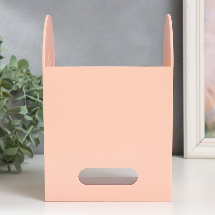Шкатулка-органайзер пластик "Лаконичность" розовая 12х14,2х21 см