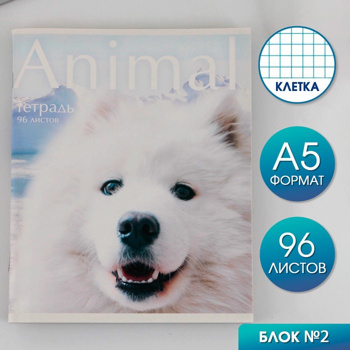 Тетрадь в клетку 96 листов А5 на скрепке 1 сентября Animalобложка мелованный картон 230 гр внутренний блок 2 белизна 80 45₽