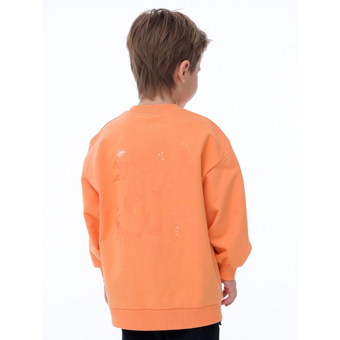 Толстовка для мальчиков, рост 110 см, цвет оранжевый куртка для мальчиков рост 110 см цвет оранжевый