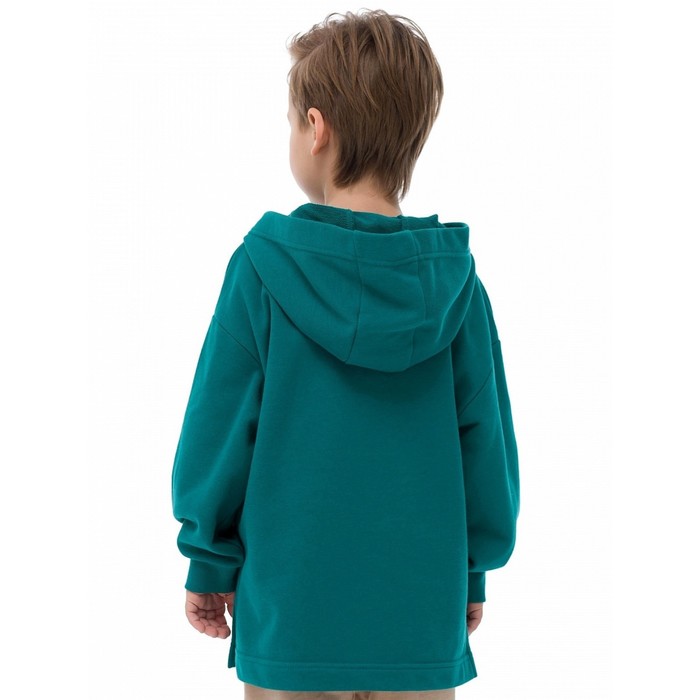 фото Толстовка для мальчиков, рост 110 см, цвет изумрудный pelican