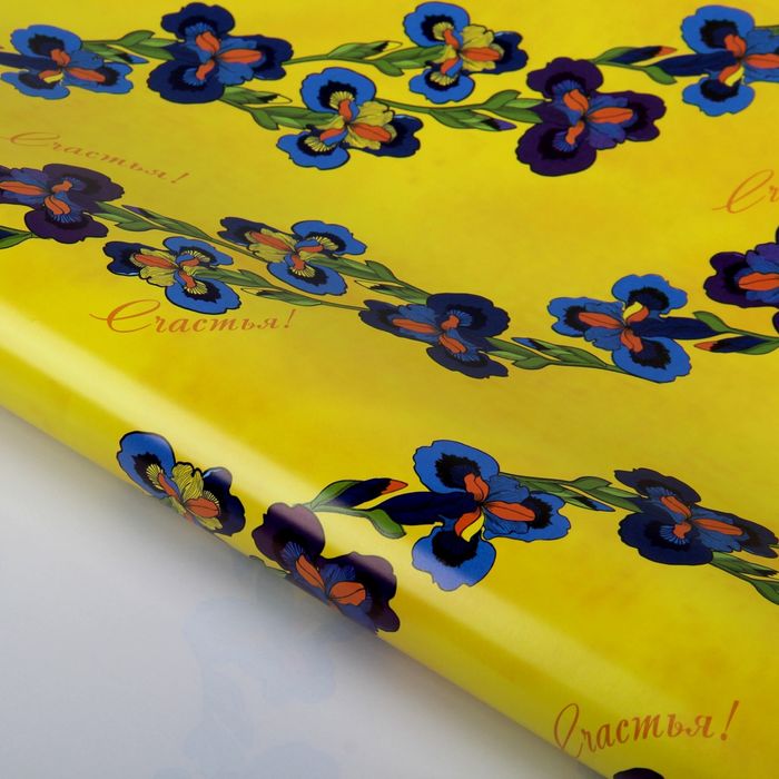 Бумага упаковочная глянцевая "Ирисы", 70х100 см, 80 г/м2