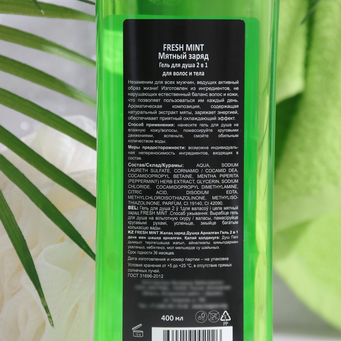 Гель для душа FRESH MINT 