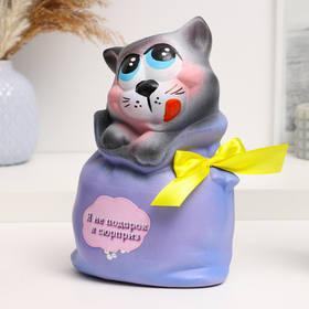 Копилка "Кот в мешке - Я не подарок, я сюрприз" серый с фиолетовым, 22см