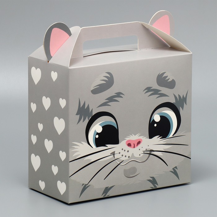 Коробка подарочная складная, упаковка, «Котик», 23 х 20 х 10 см