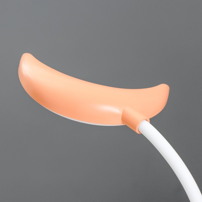 Настольная лампа "Космос" LED 2Вт USB АКБ МИКС 10х7,5х30 см 9352525