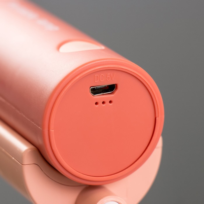 Настольная лампа "Лансер" LED 3,5Вт USB АКБ красно-розовый 11х15х45 см