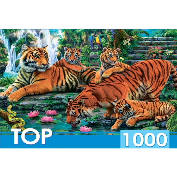 Пазл «Семейство тигров», 1000 элементов пазл найди 13 тигров 1000 элементов