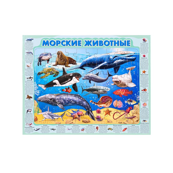 Пазл-рамка «Морские животные», 60 элементов пазл рамка морские животные 60 элементов