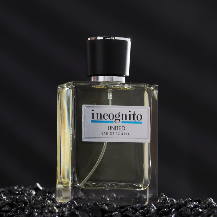

Туалетная вода мужская Incognito United, 100 мл