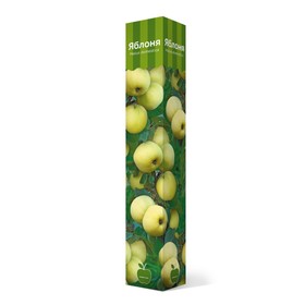 

Яблоня "Спартан ", 1 шт, туба, Весна 2023