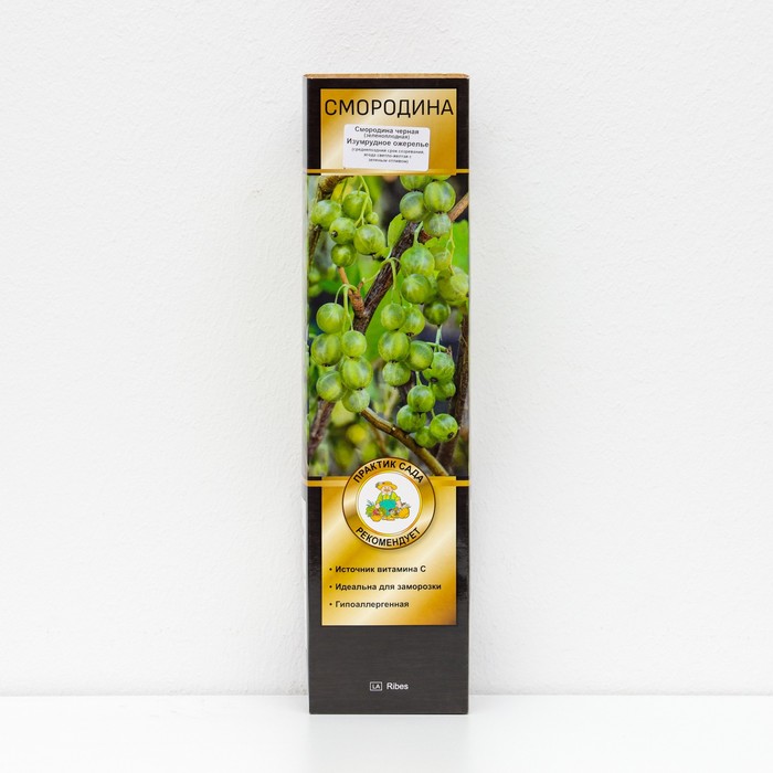 Смородина черная (зеленоплодные) Изумрудное ожерелье, 1 шт, туба, Весна 2024