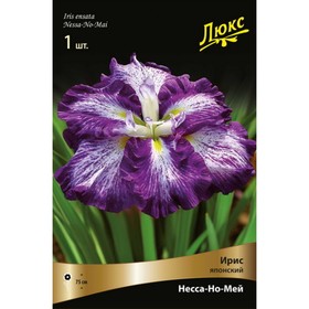 

Ирис японский "Несса-Но-Мей", 1 шт, р-р I, Весна 2023