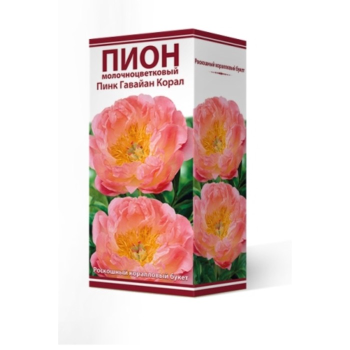 

Пионы молочноцветковые и гибриды "Пинк Гавайан Корал", 1 шт, р-р 2-3, Весна 2024