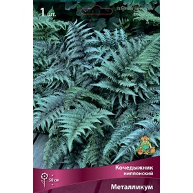 Кочедыжник металликум фото