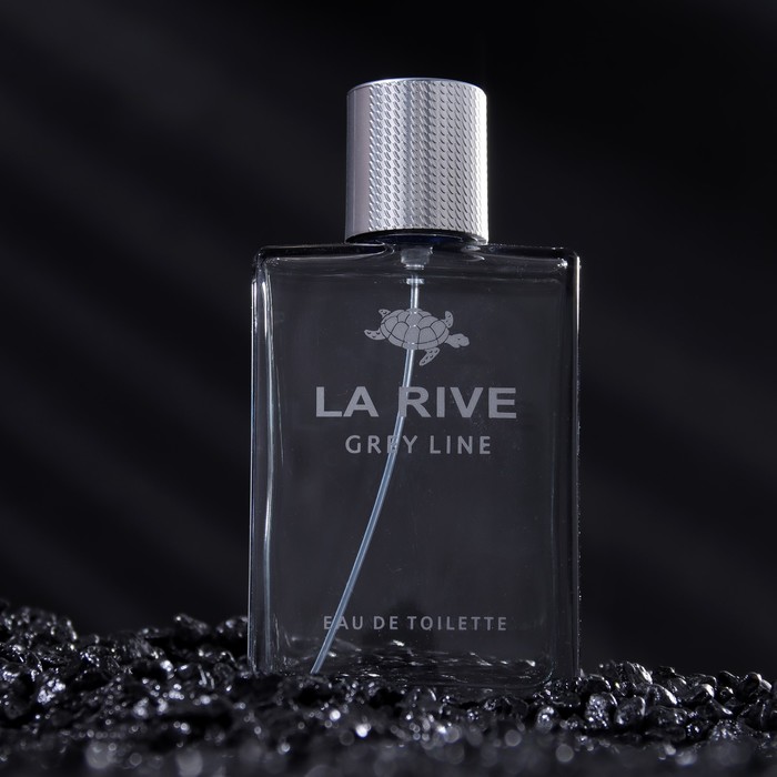 

Туалетная вода мужская La Rive Grey Line, 90 мл