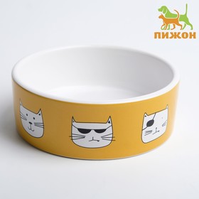 Миска керамическая "Опасные коты", 12,5 x 4,5 cм, бело-оранжевая