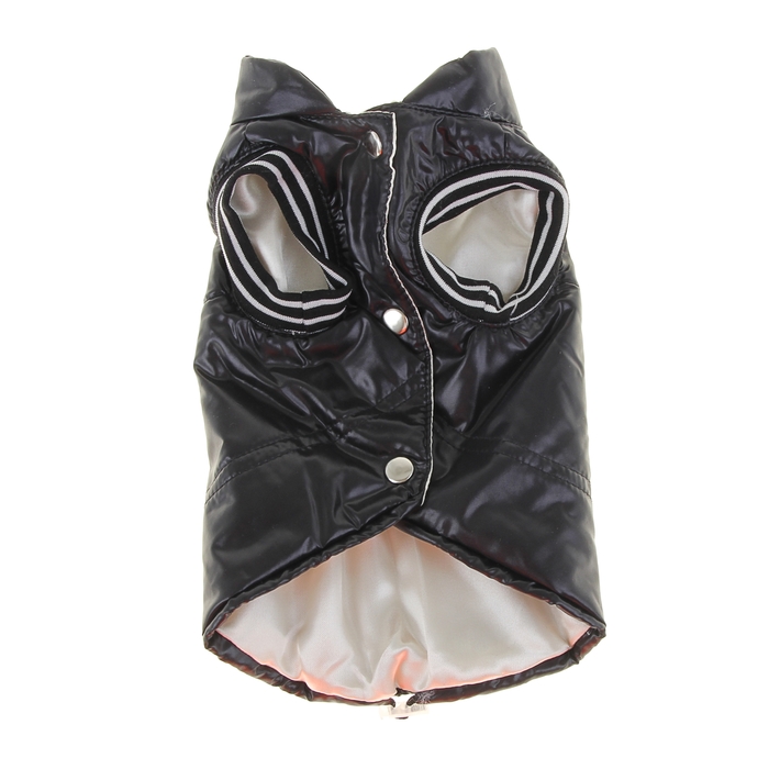 Жилет демисезонный, унисекс, черный, размер M (ДС 24 см, ОГ 35-42 см, ОШ 23-28 см)