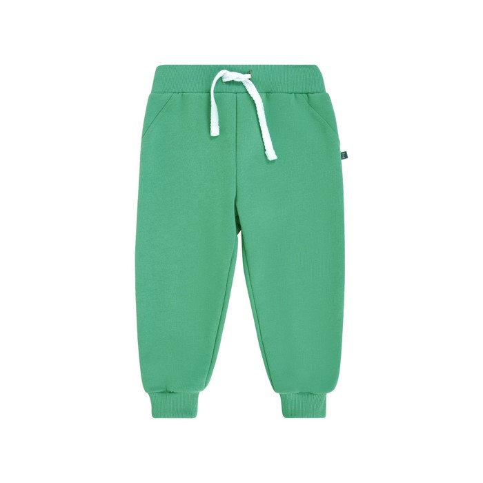 

Брюки для мальчика, рост 74 см, цвет зелёный