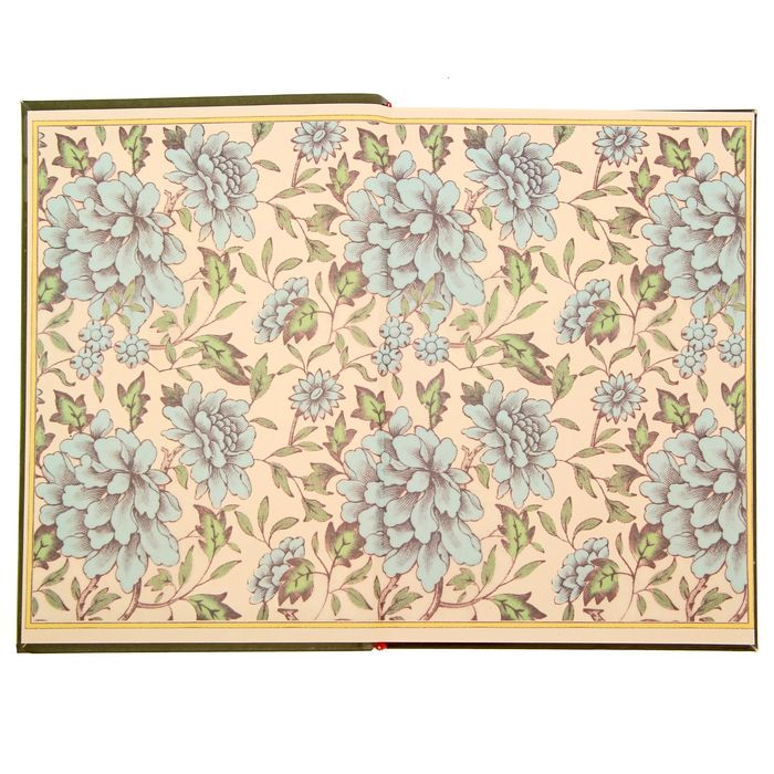 Ежедневник "Домовая книга", твёрдая обложка, А5, 96 листов