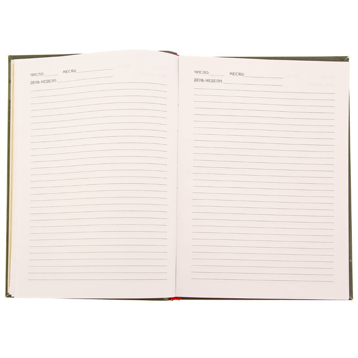 Ежедневник "Домовая книга", твёрдая обложка, А5, 96 листов