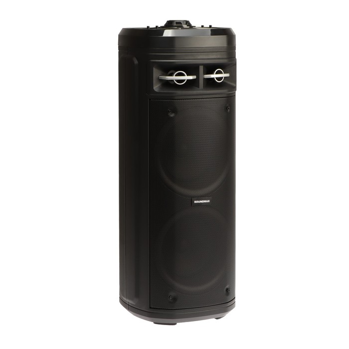 

Портативная колонка Soundmax SM-MS4207, 80Вт, 3600мАч, FM, BT, USB, TWS, подсветка, черная