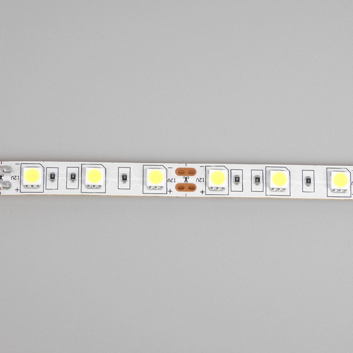 Светодиодная лента Ecola PRO, 12В, SMD5050, 50 м, IP20, 14.4 Вт/м, 60 LED/м, 6000К