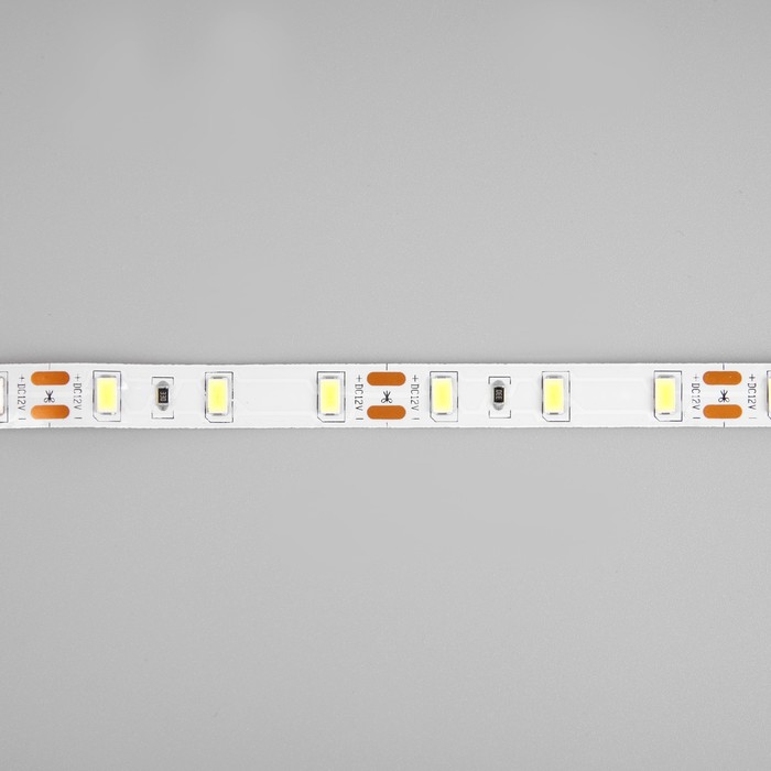Светодиодная лента Ecola PRO, 12В, SMD5630, 50 м, IP20, 19 Вт/м, 60 LED/м, 6000К