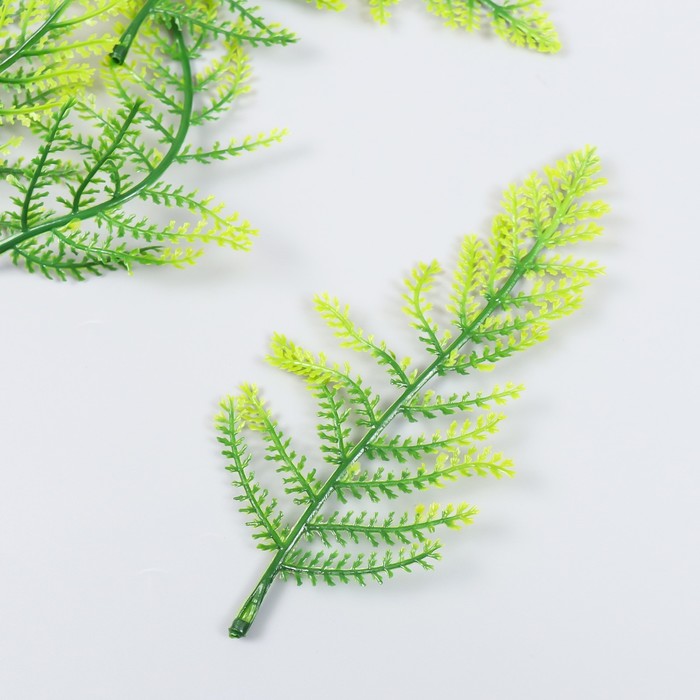 Декор для творчества Листья лесного папоротника набор 5 шт зелёный 15 см