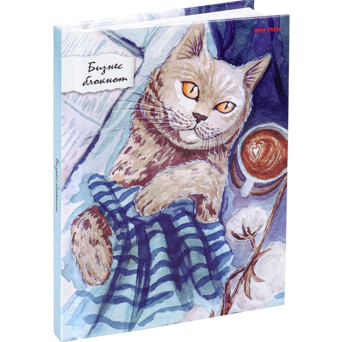 

Бизнес-блокнот А6, 80 листов в клетку "Уют для котика", твёрдая обложка, глянцевая ламинация