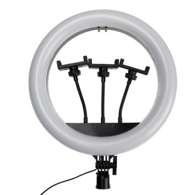 Кольцевая лампа Ritmix RRL-360, 36 см, USB, 3 цвета, 192 светодиода, пульт, держатель Ош