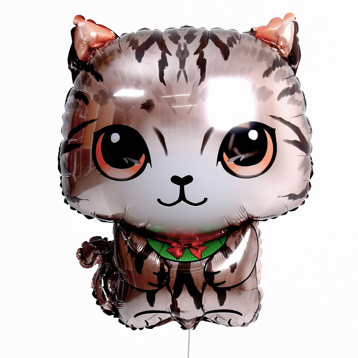 Шар фольгированный 26 «Кот с большими глазами» шар фольгированный 27 котёнок с большими глазами
