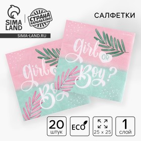 Салфетки 25*25см "Gir or Boy" (набор 20 шт)